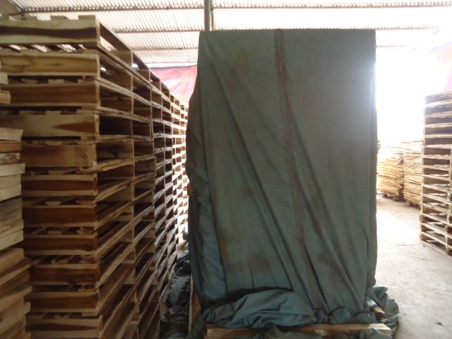 Pallet khur trung mb