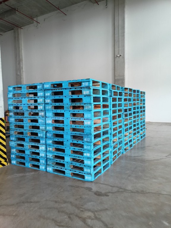 cho thuê pallet gỗ