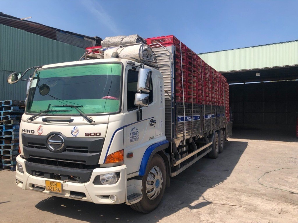 cho thuê pallet gỗ