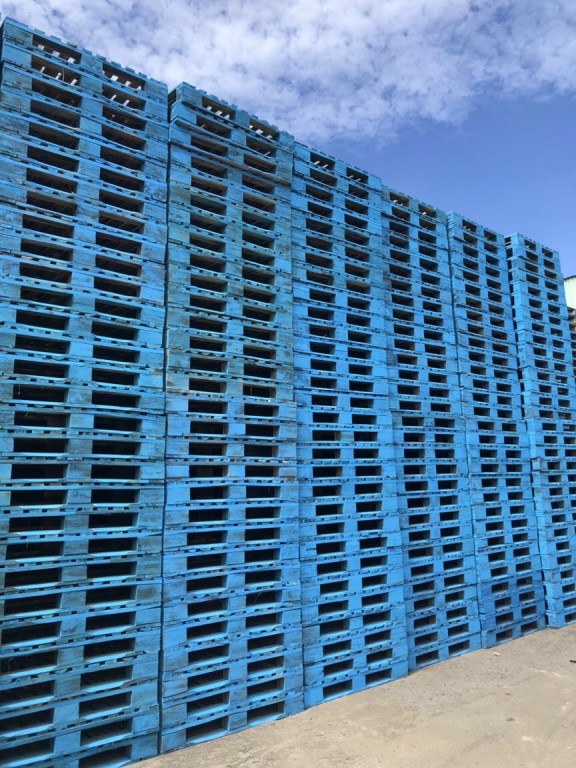 cho thuê pallet gỗ