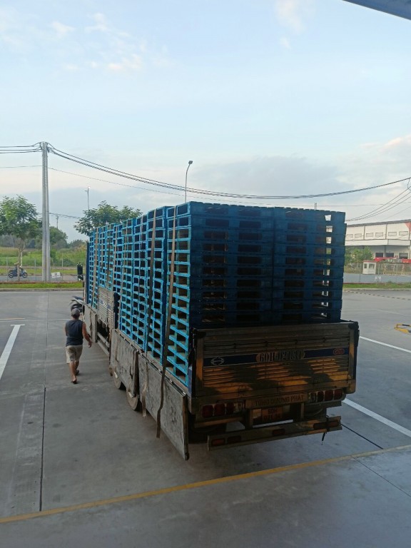 cho thuê pallet gỗ