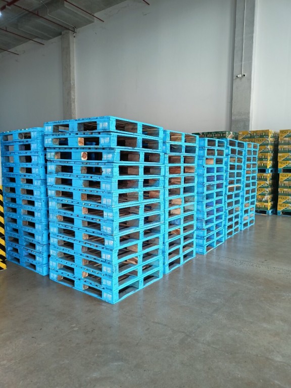 cho thuê pallet gỗ