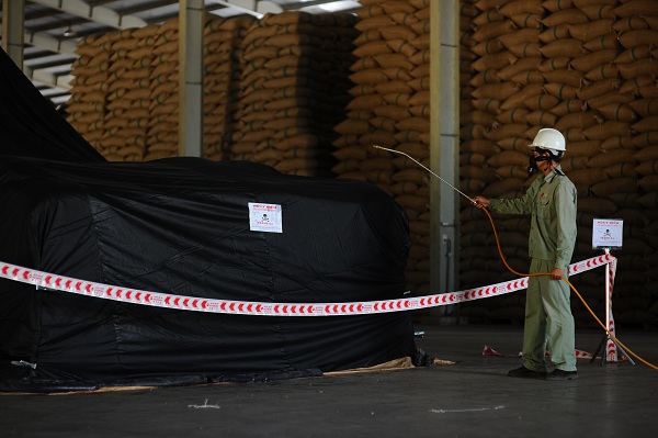 Pallet gỗ ưu việt