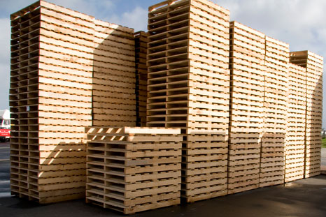 Sản xuất pallet gỗ